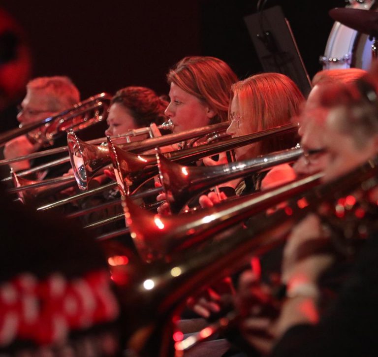 Geslaagd concert ViJoS Plus